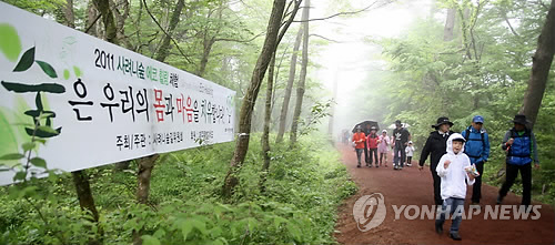 사려니 숲길을 걷는 관광객들(자료사진)