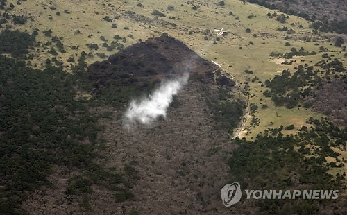 산불로 까맣게 탄 한라산