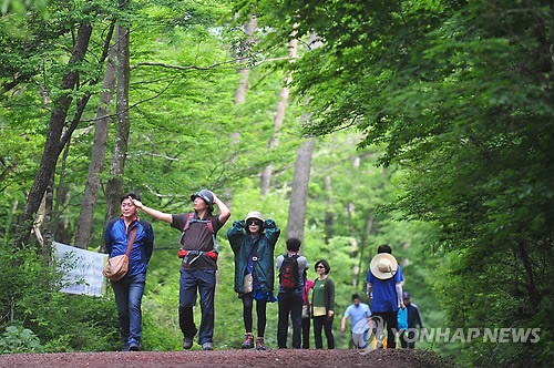 [주말 N 여행] 제주권: 싱그러움 가득 사려니숲 에코힐링 체험