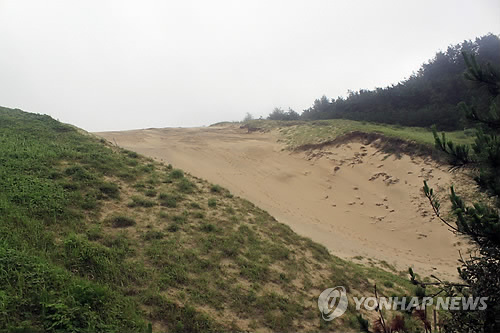 평범한 섬으로 바뀐 동양최대 모래언덕