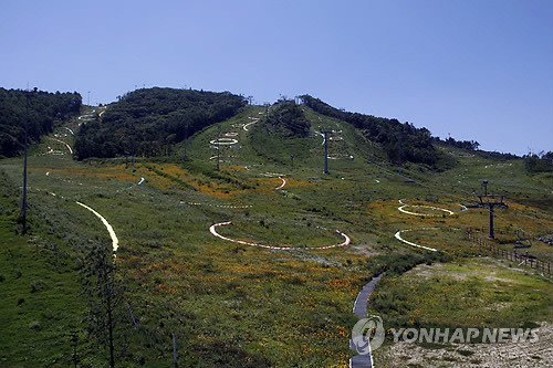 평창 알펜시아에서 열리는 2013평창비엔날레