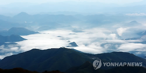 운해로 덮인 단양 (노승혁 기자)