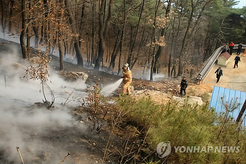 도리사 산불