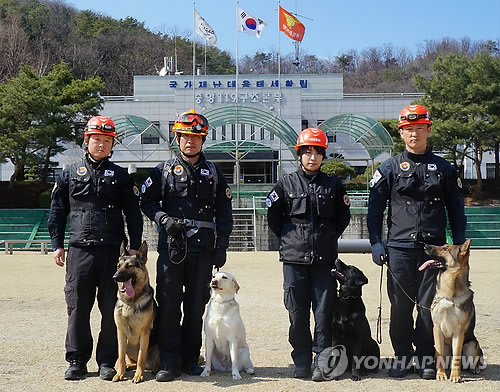 '구조대원 서른명 역할' 인명구조견 4마리 새로 배출