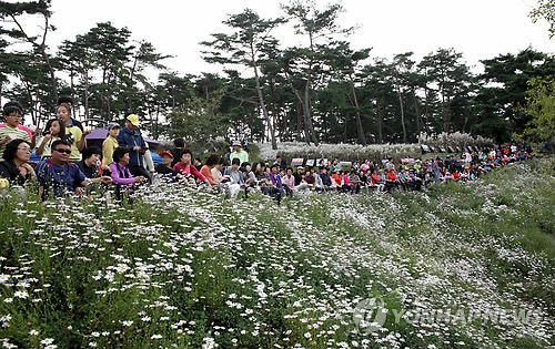 아름다운 정읍 구절초축제 현장