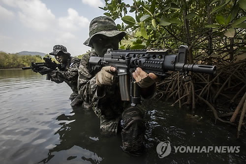 정글수로 극복훈련하는 해병대 장병들