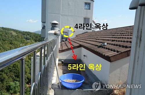 '캣맘 사망사건' 아파트 옥상 현장