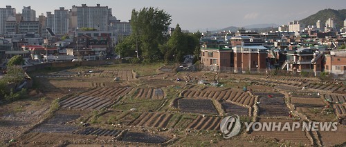 텃밭이 된 미군기지 자리