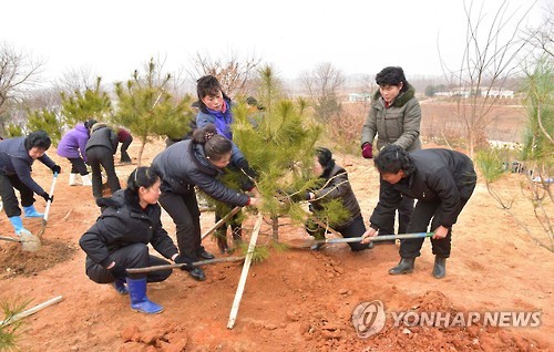 북한, 식수절 맞아 평양 곳곳에서 '나무심기' 행사