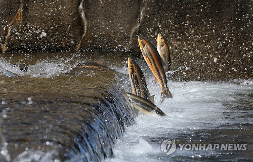 포기란 없다