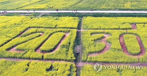 유채꽃으로 표현한 '2030 등록엑스포' [연합뉴스 자료사진]