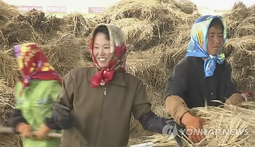 北 식량생산, 지난해보다 늘어날 듯 ［AP=연합뉴스］