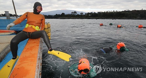 바다로 뛰어드는 제주 해녀