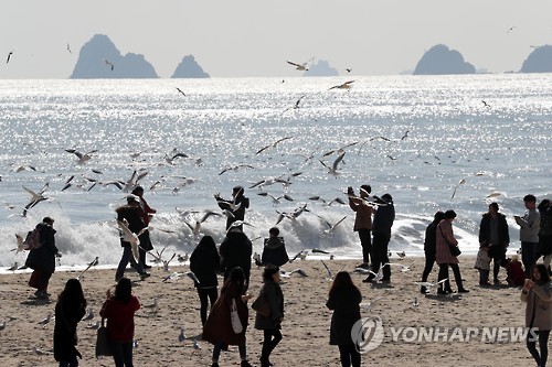 [주말 N 여행] 영남권: 낮과 밤 언제나 아름답다…하얀 포말 부서지는 해운대