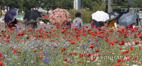 뜨거운 햇볕에 양산을 쓴 시민들(자료)