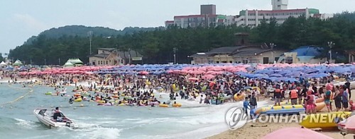 산·바다로…강원 피서지·축제장 인파로 북적