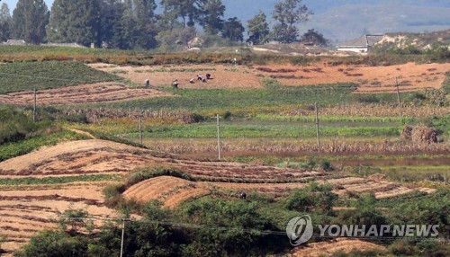 밭에서 일하는 북한 농민들의 모습