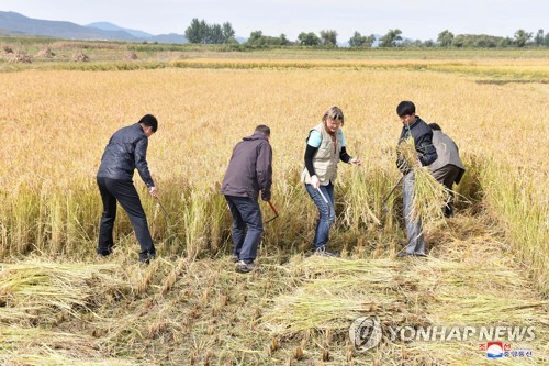 지난 10월 북한에서 열린 세계식량의 날 행사