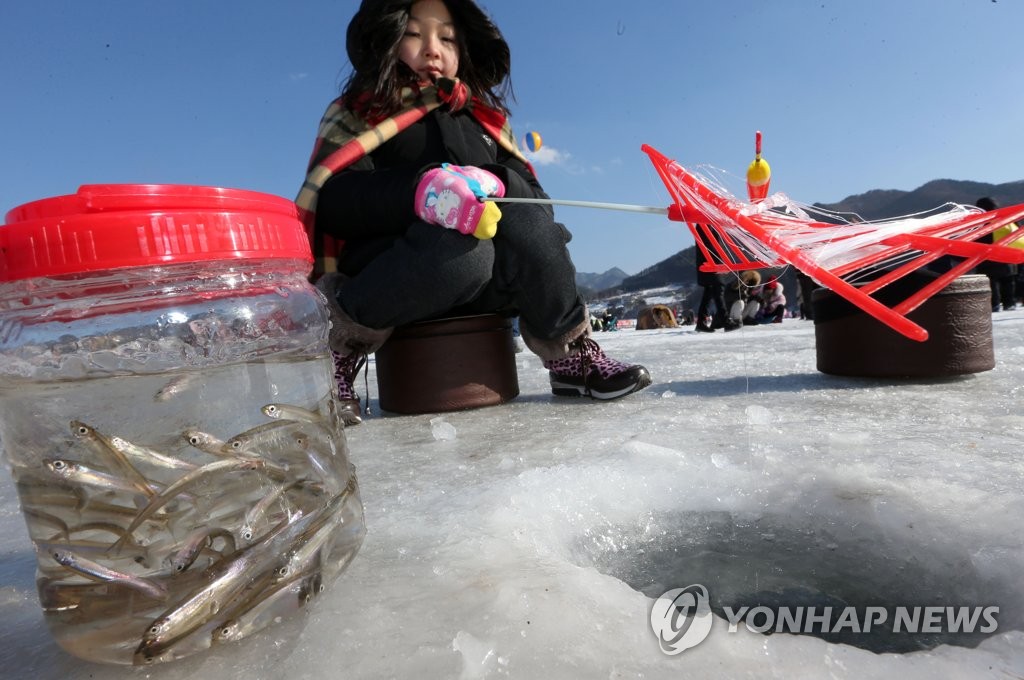 은빛 요정 빙어가 한가득[연합뉴스 자료사진]