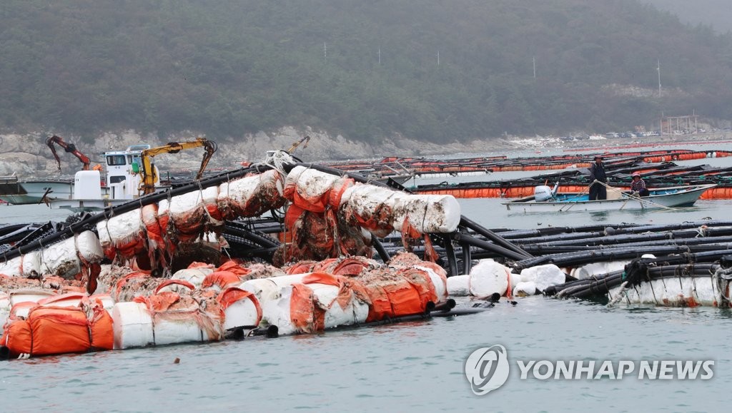 얽히고 설킨 전복 양식장